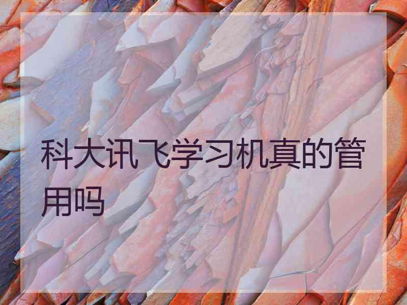 科大讯飞学习机真的管用吗 科大讯飞学习机真的管用吗