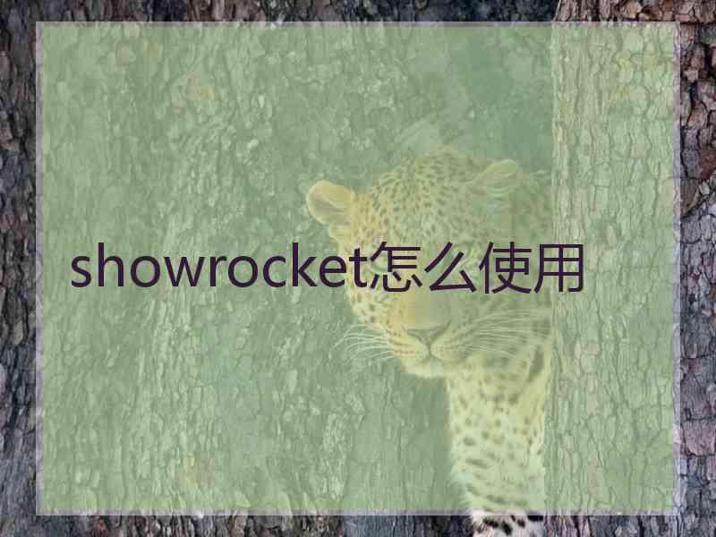 showrocket怎么使用 showrocket怎么使用