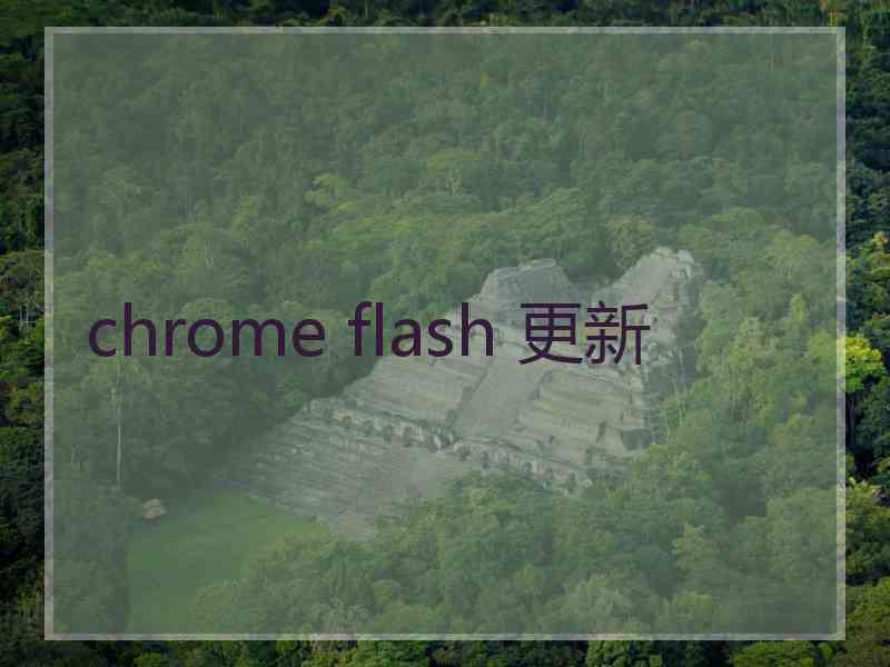 chrome flash 更新 chrome flash 更新