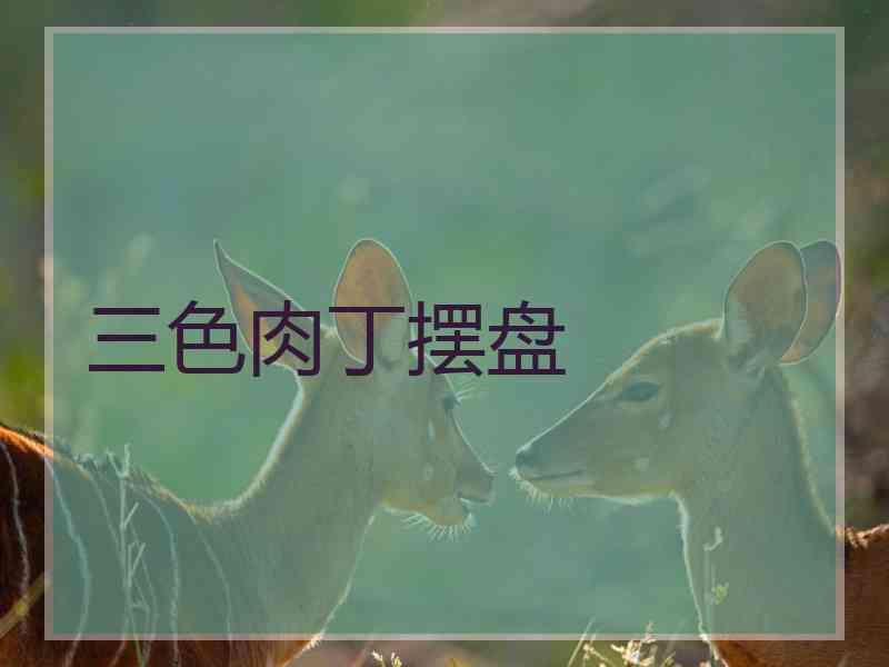 三色肉丁摆盘 三色肉丁摆盘