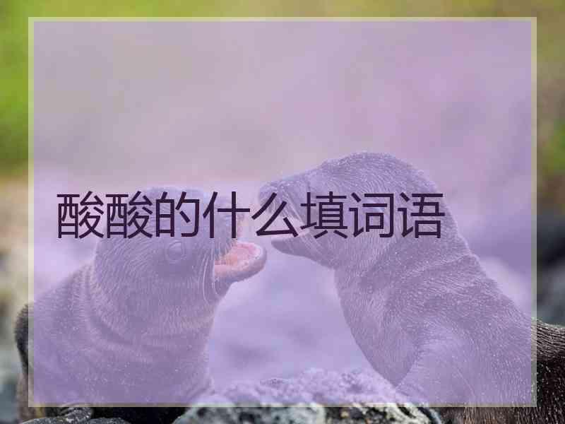 酸酸的什么填词语 酸酸的什么填词语