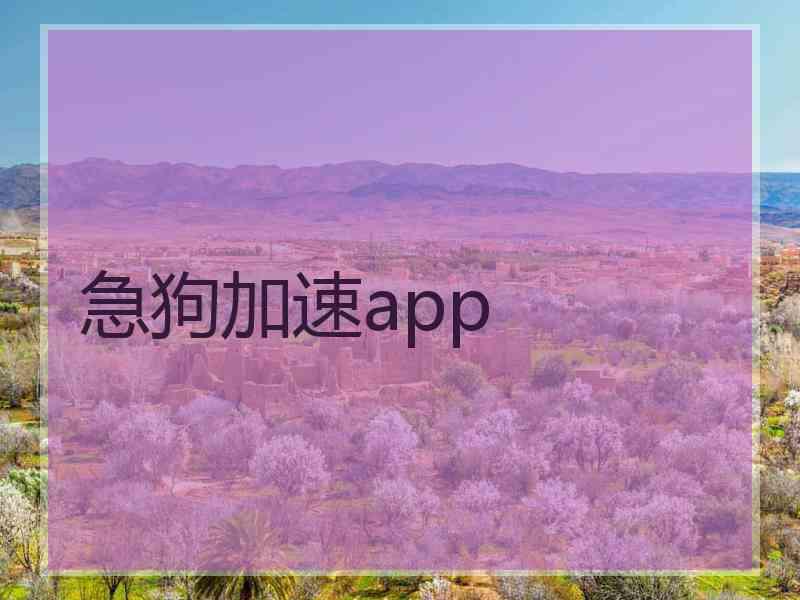 急狗加速app 急狗加速app