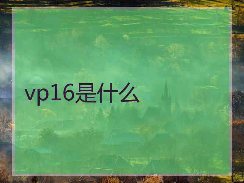 vp16是什么 vp16是什么