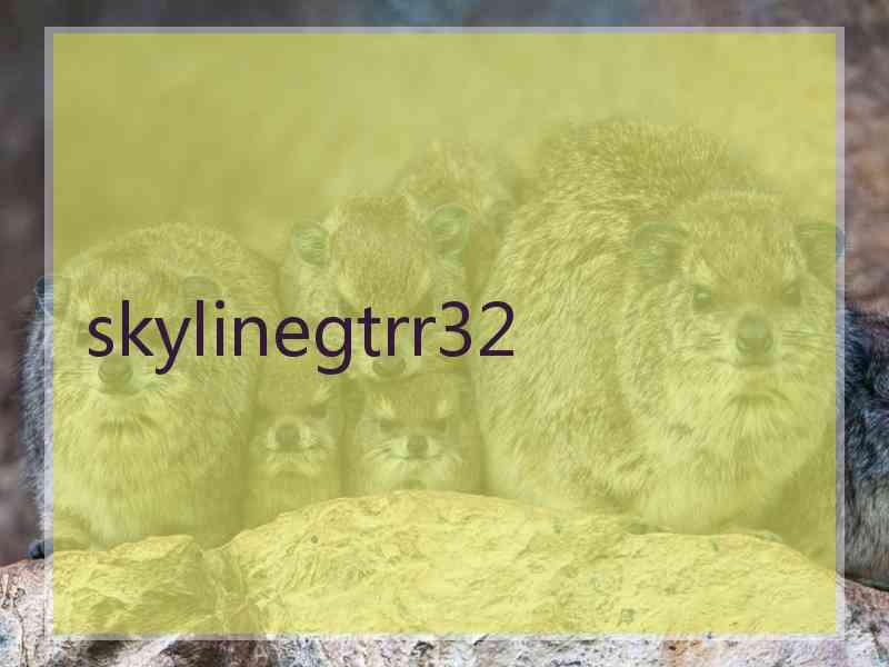 skylinegtrr32 skylinegtrr32