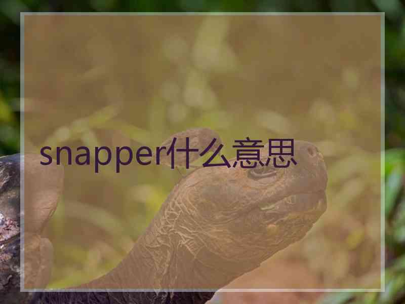 snapper什么意思 snapper什么意思