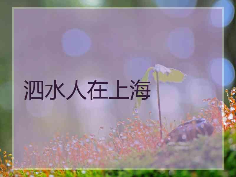 泗水人在上海 泗水人在上海