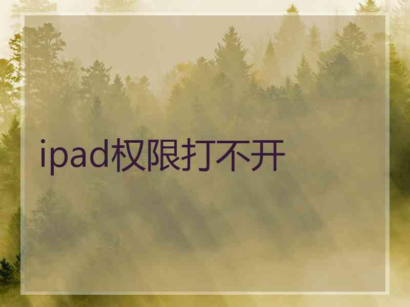 ipad权限打不开 ipad权限打不开