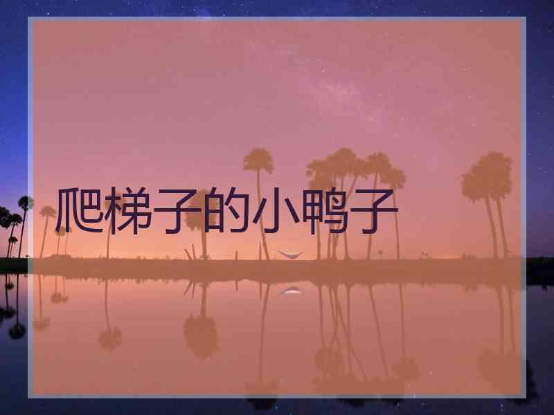 爬梯子的小鸭子 爬梯子的小鸭子