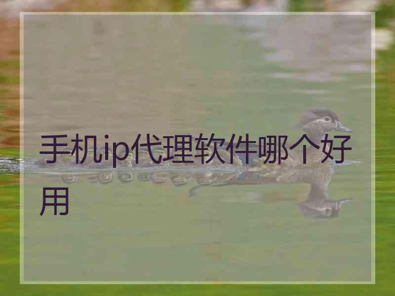 手机ip代理软件哪个好用 手机ip代理软件哪个好用
