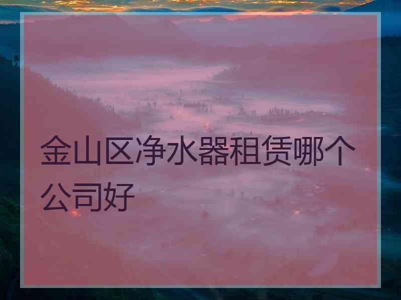 金山区净水器租赁哪个公司好 金山区净水器租赁哪个公司好