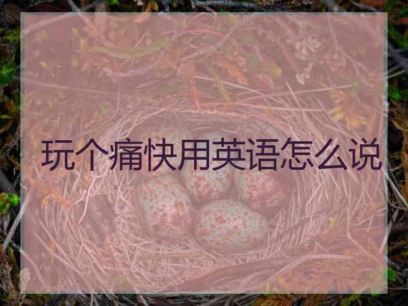 玩个痛快用英语怎么说 玩个痛快用英语怎么说