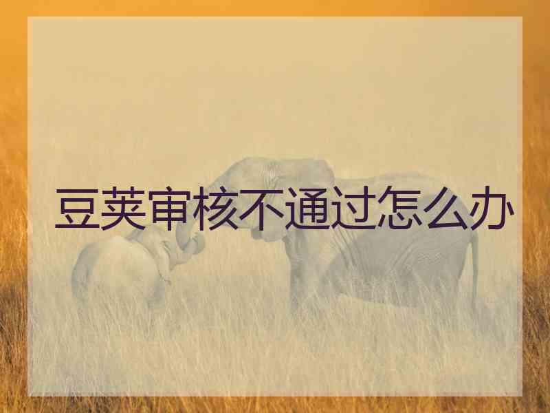 豆荚审核不通过怎么办 豆荚审核不通过怎么办