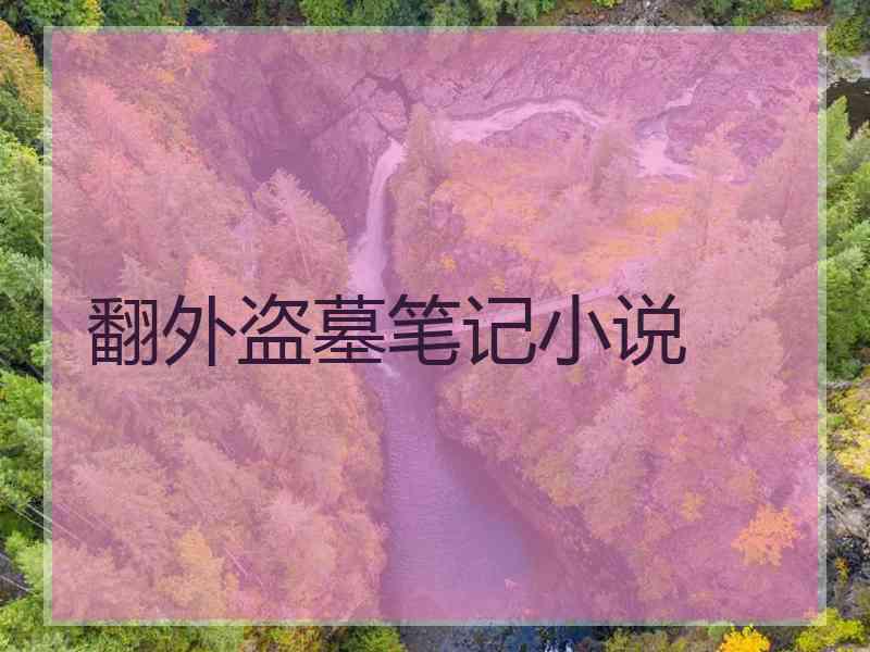 翻外盗墓笔记小说 翻外盗墓笔记小说