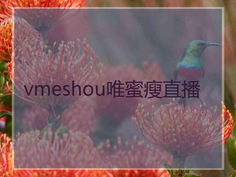 vmeshou唯蜜瘦直播 vmeshou唯蜜瘦直播