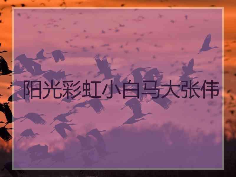 阳光彩虹小白马大张伟 阳光彩虹小白马大张伟
