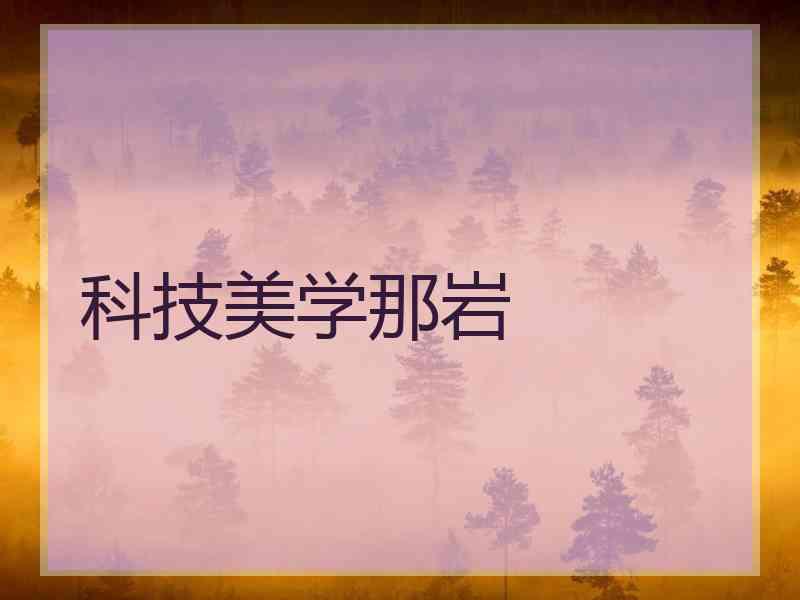 科技美学那岩 科技美学那岩