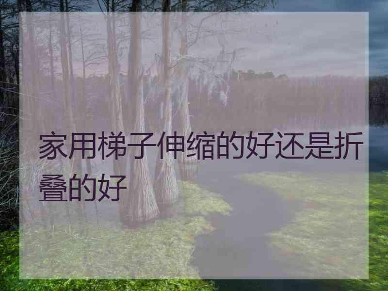 家用梯子伸缩的好还是折叠的好 家用梯子伸缩的好还是折叠的好