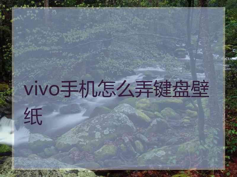 vivo手机怎么弄键盘壁纸 vivo手机怎么弄键盘壁纸