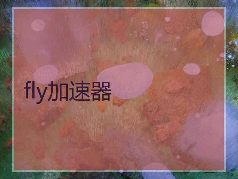 fly加速器
