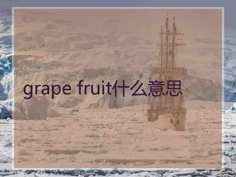 grape fruit什么意思 grape fruit什么意思