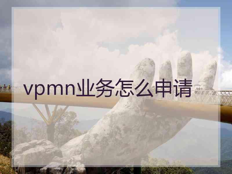 vpmn业务怎么申请 vpmn业务怎么申请