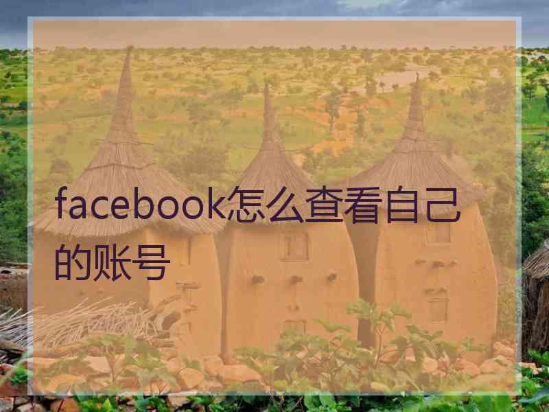 facebook怎么查看自己的账号 facebook怎么查看自己的账号