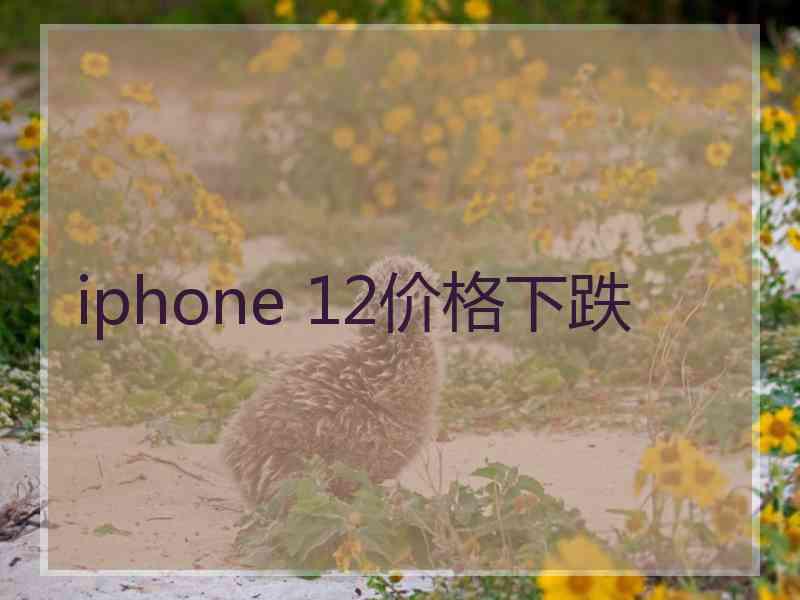 iphone 12价格下跌 iphone 12价格下跌