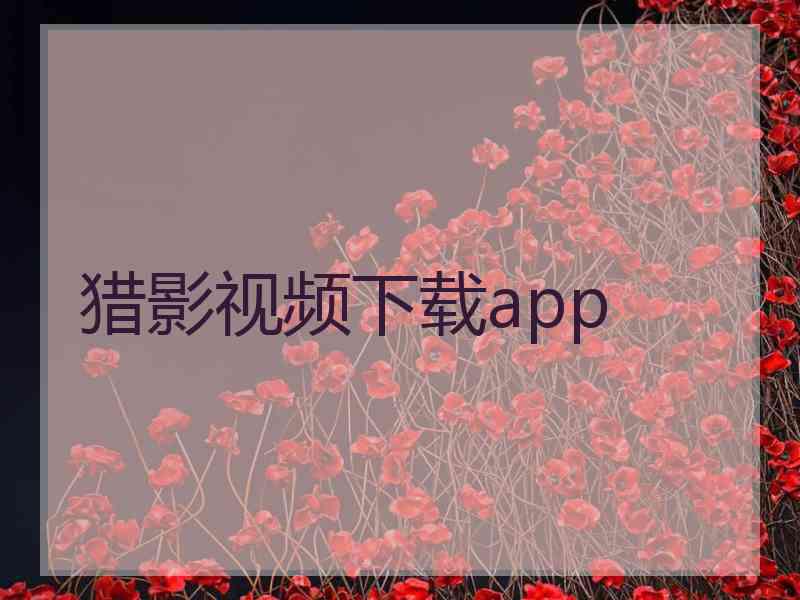 猎影视频下载app 猎影视频下载app