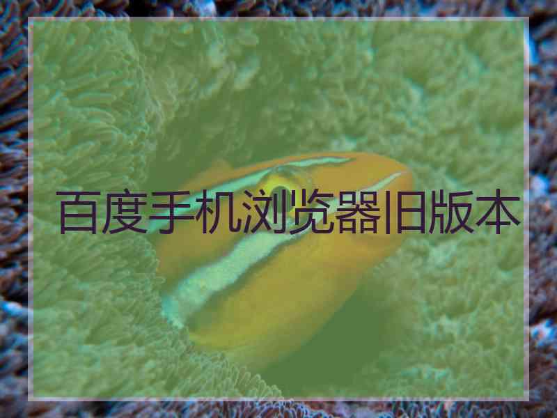 百度手机浏览器旧版本 百度手机浏览器旧版本