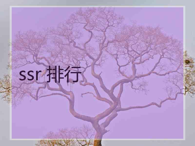ssr 排行 ssr 排行