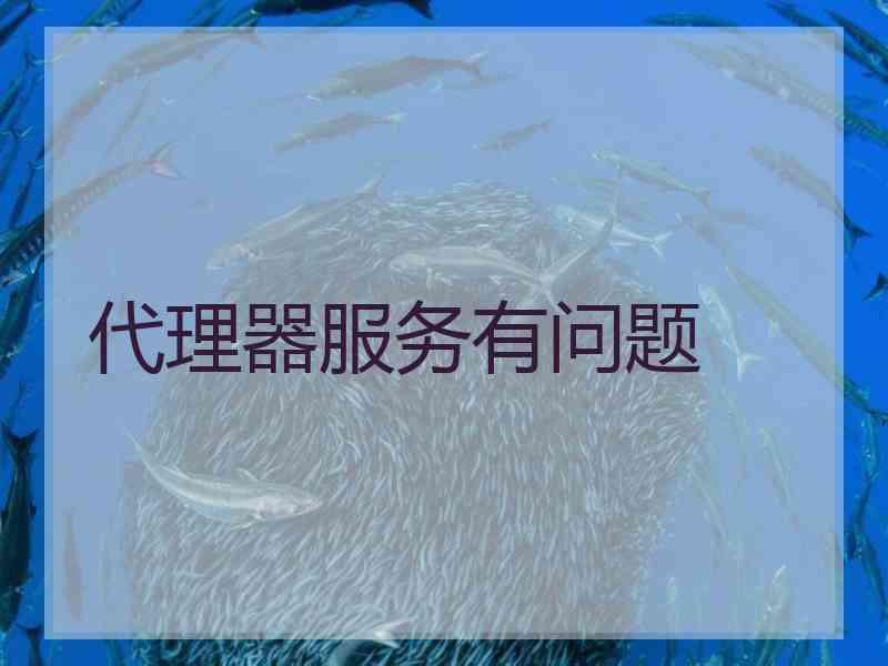 代理器服务有问题 代理器服务有问题