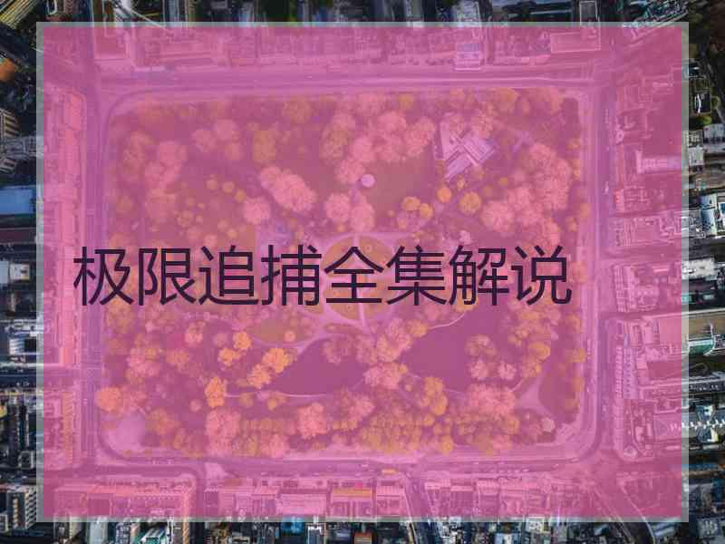 极限追捕全集解说 极限追捕全集解说