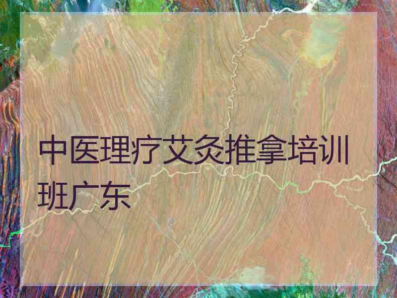 中医理疗艾灸推拿培训班广东 中医理疗艾灸推拿培训班广东