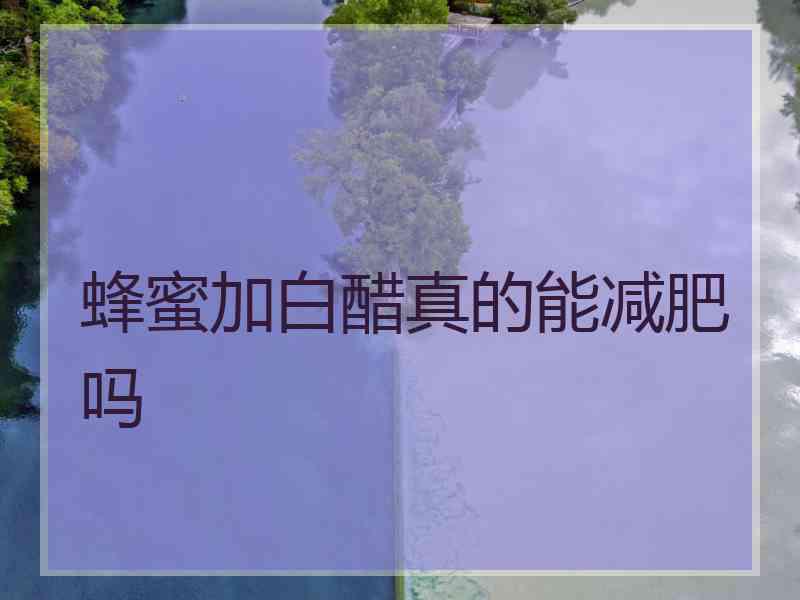 蜂蜜加白醋真的能减肥吗 蜂蜜加白醋真的能减肥吗