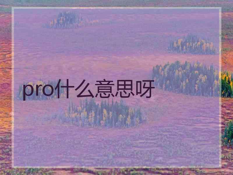 pro什么意思呀 pro什么意思呀