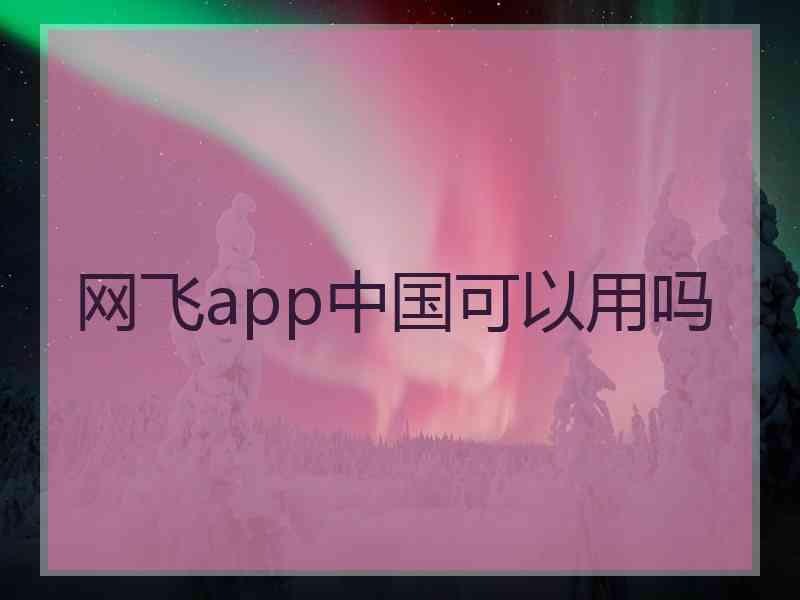 网飞app中国可以用吗 网飞app中国可以用吗