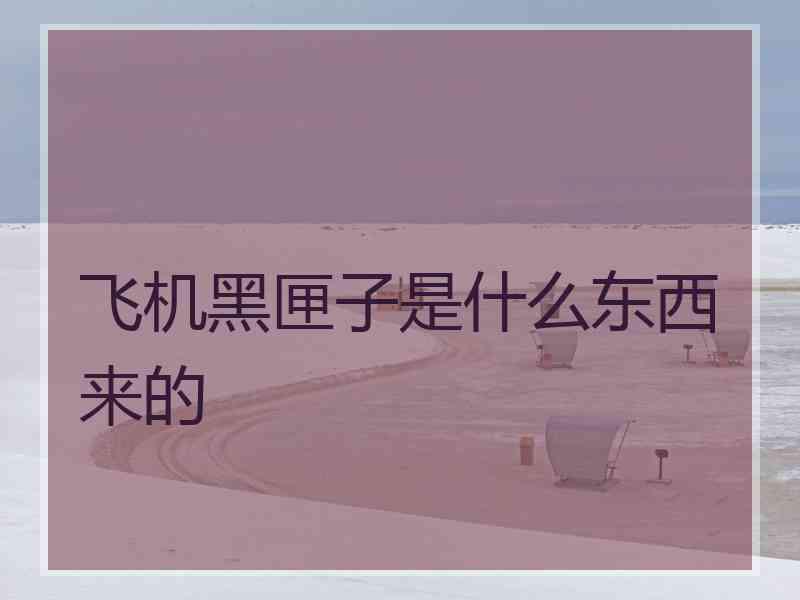 飞机黑匣子是什么东西来的 飞机黑匣子是什么东西来的