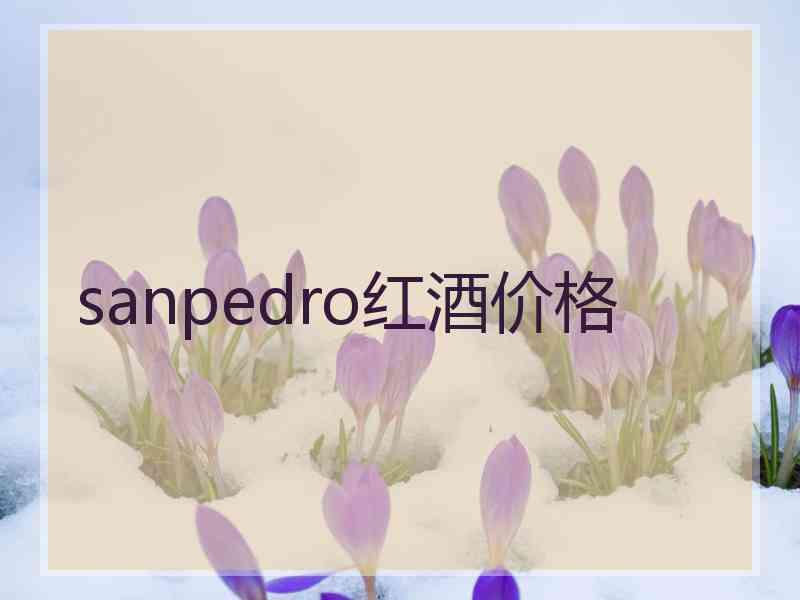 sanpedro红酒价格 sanpedro红酒价格