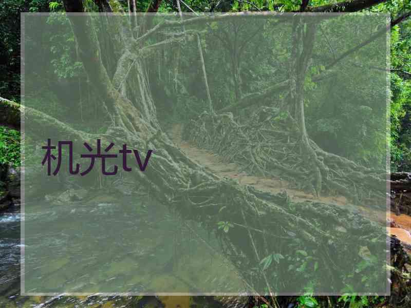机光tv 机光tv