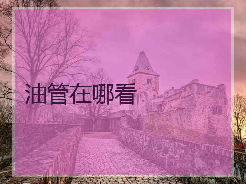 油管在哪看 油管在哪看