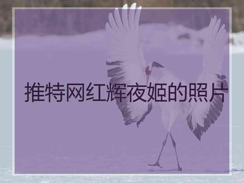 推特网红辉夜姬的照片 推特网红辉夜姬的照片