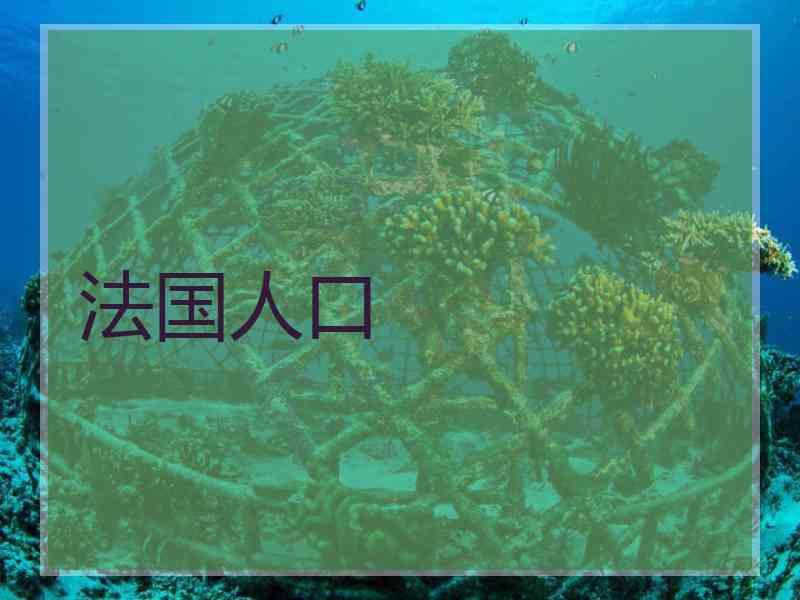 法国人口 法国人口