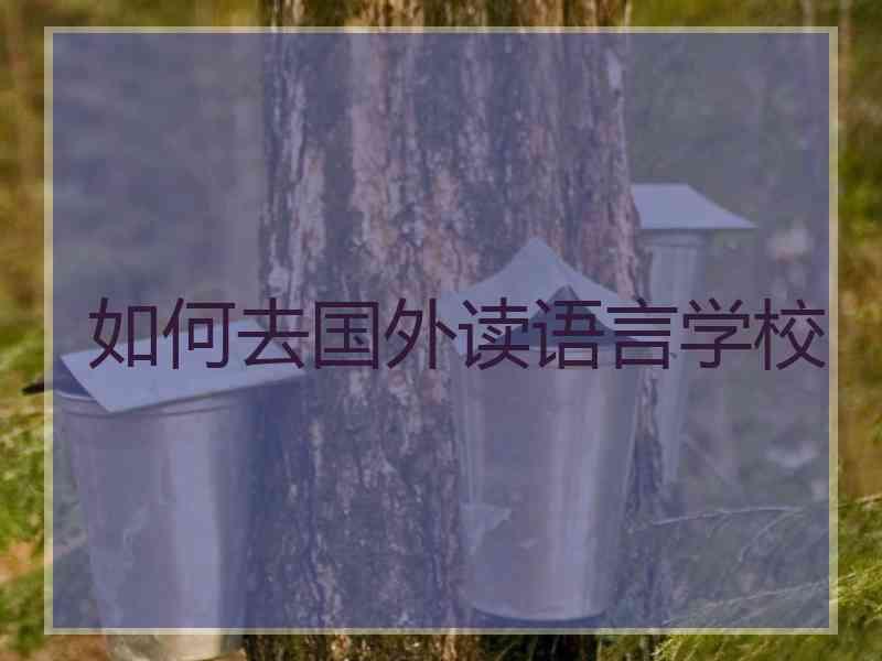 如何去国外读语言学校 如何去国外读语言学校