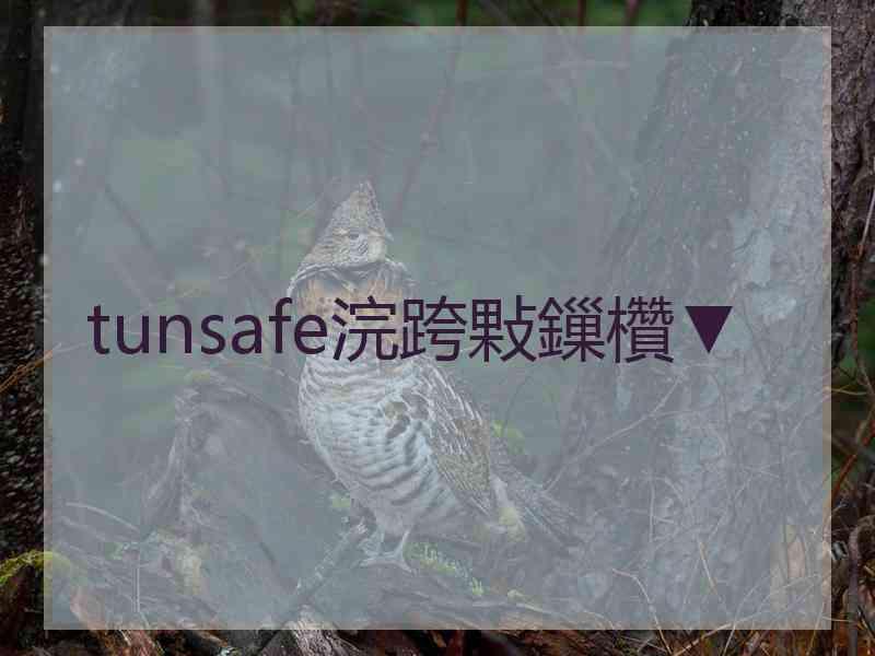 tunsafe浣跨敤鏁欑▼ tunsafe浣跨敤鏁欑▼