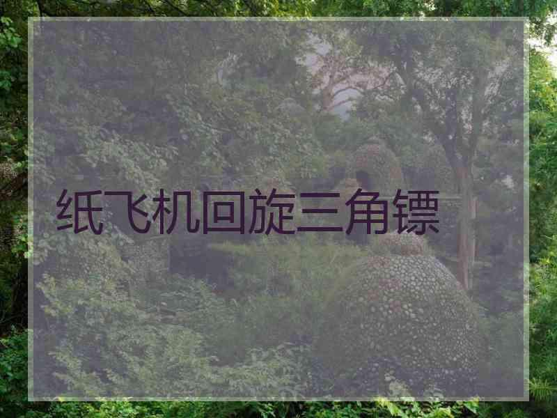 纸飞机回旋三角镖 纸飞机回旋三角镖
