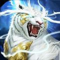 ssr加速器 win