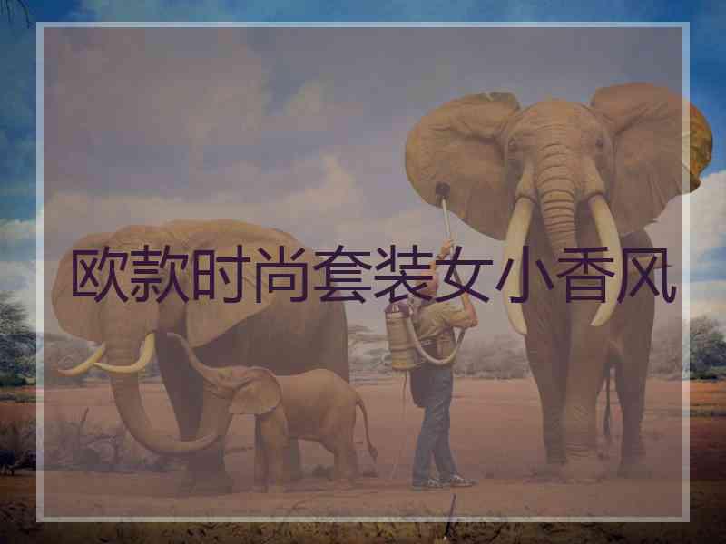 欧款时尚套装女小香风
