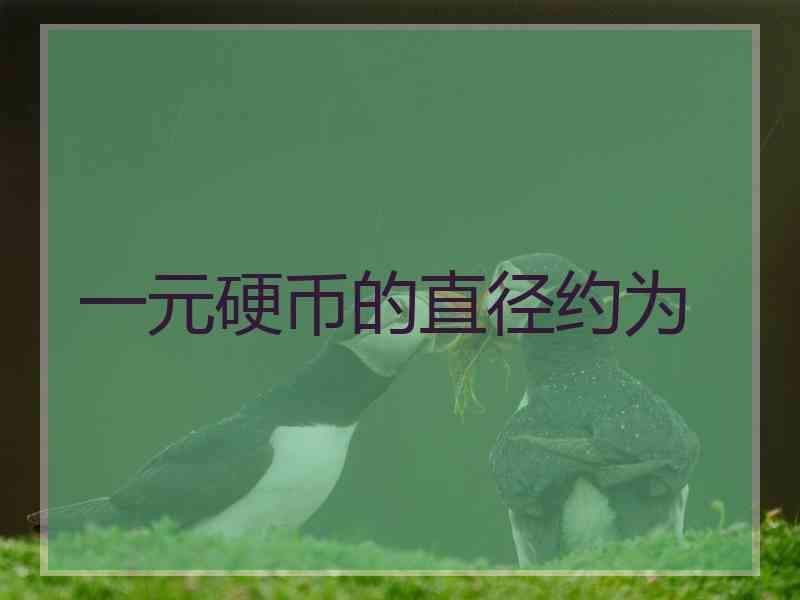 一元硬币的直径约为