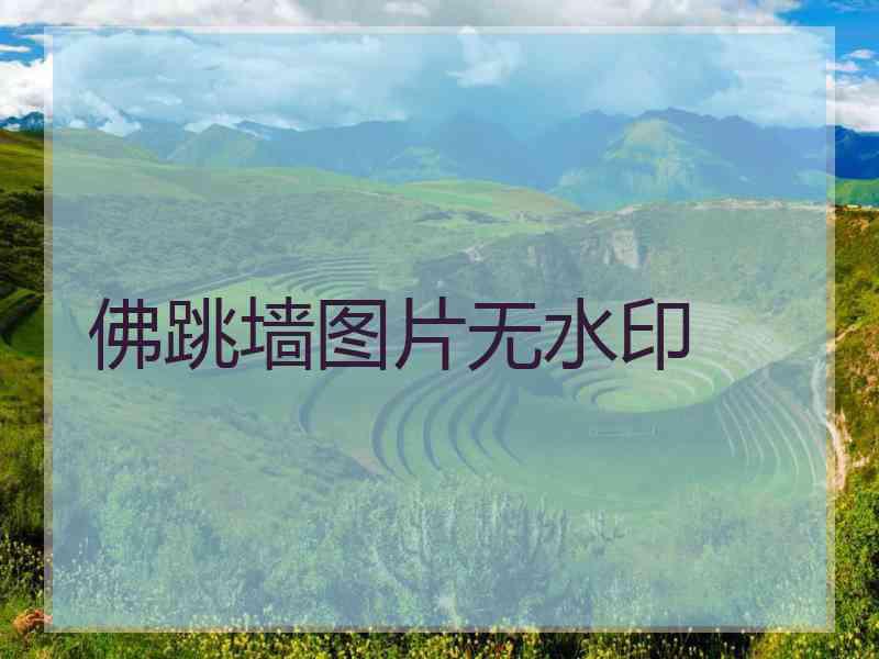 佛跳墙图片无水印