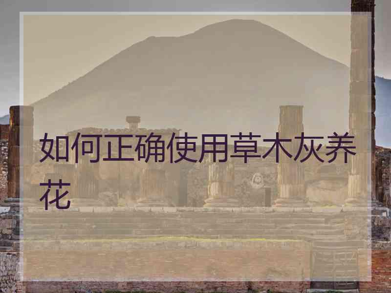 如何正确使用草木灰养花